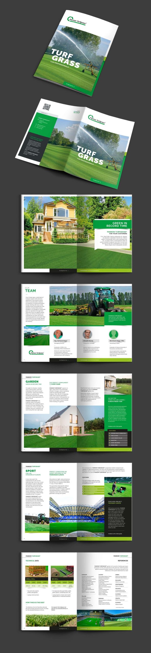 Brochure Design 4