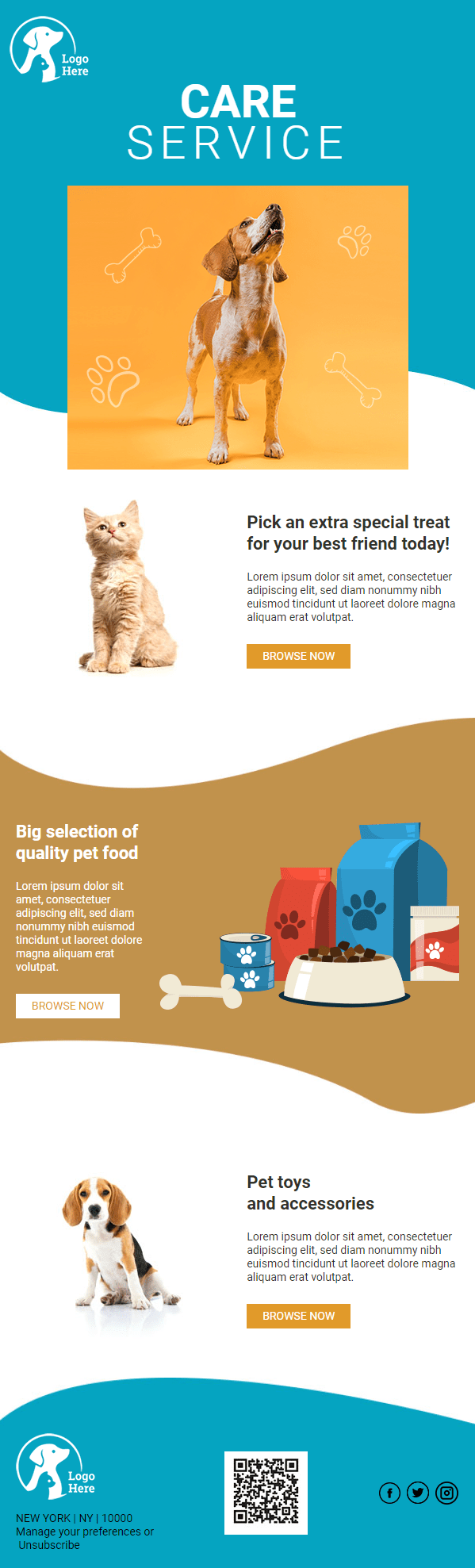 Pet Care 1 Email Template